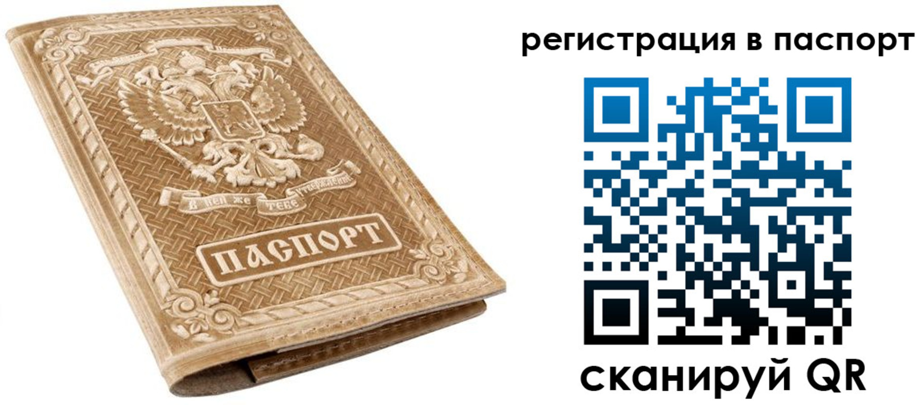 прописка в Чкаловске